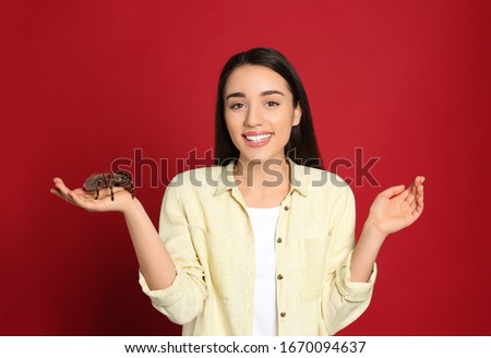 Woman holding striped knee tarantula on red background. Exotic pet