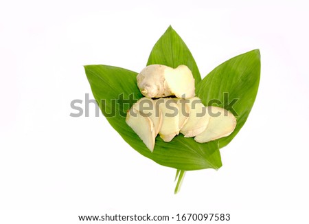 Fresh ginger root with leaves Isolated on white background