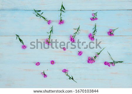 Flat lay of beautiful purple flowers composition on wooden background