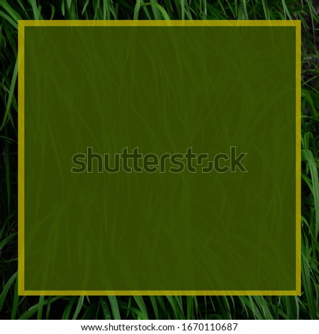 Grassy background with colorful frame, space for text
