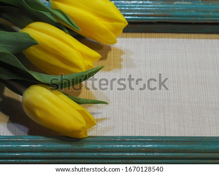A bouquet of three yellow tulips with a turquoise wooden photo frame on a light background close up. Bright spring picture with a bunch of flowers for printing the cover, design and decoration.
