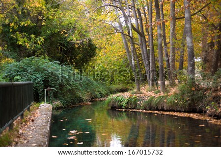Photography at a park in autumn with a river
