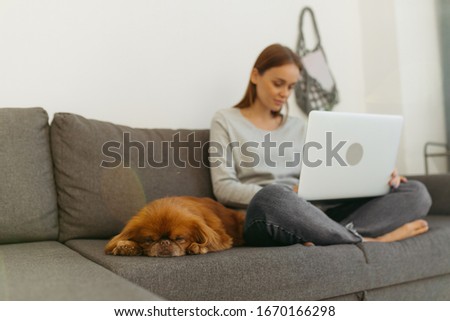 Blonde sitting on a gray sofa at a laptop. Girl in a gray sweater and jeans. The dog lies near the girl on the sofa. String bag on a white wall.