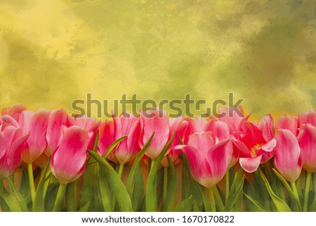 Pink tulips on the green background. Copy space