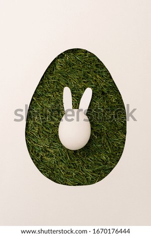 Top view of egg shape frame with easter bunny on grass isolated on white