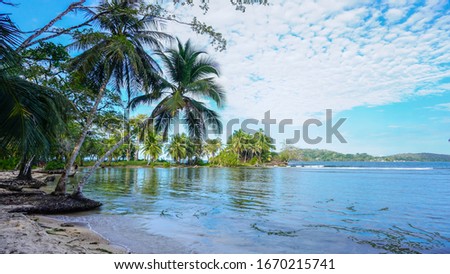 Late afternoon tropical landscape scenery island environment of Panamanian archipelago with blue clean and calm water and lush vegetation of the jungle greenery in the background of paradise view. 