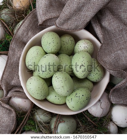 Spring green Easter eggs in a white ceramic bowl for celebrating the holidays at home with the family