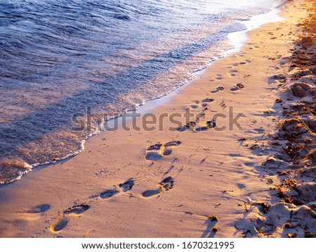 human footprints on the sandy beach of the sea