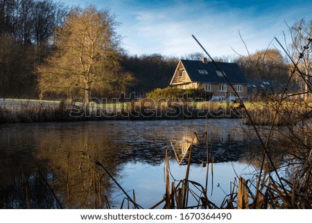 Peaceful picture of a home and a big tree close to a forest, with a beautiful reflection in a lake 