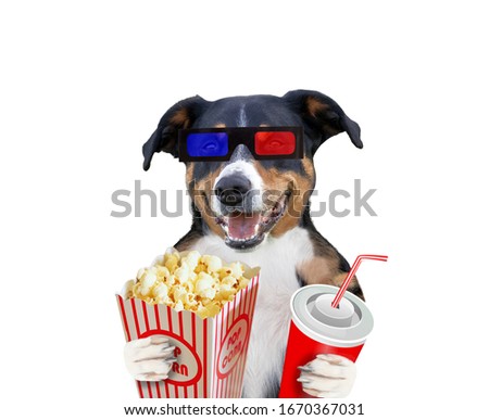 Funny dog with popcorn. isolated on white background.