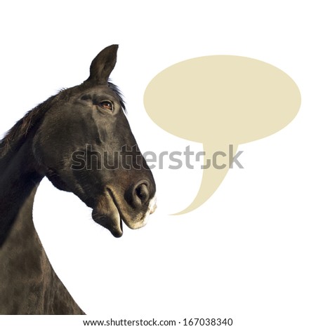 horse with speaking cloud on white background 