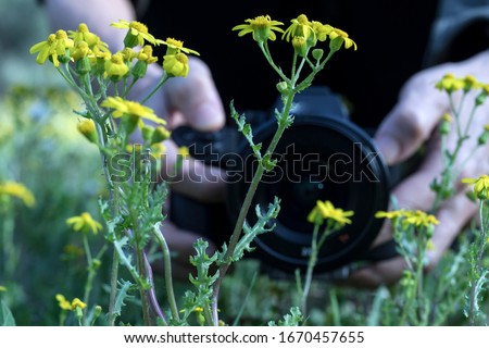 camera in hand taking flowers picture