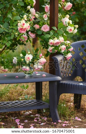 A bouquet of roses in a glass vase stands on a table under a rose bush