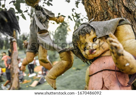 Creepy old dolls in the abandoned Island of the Dolls, Xochimilco, southern Mexico City Royalty-Free Stock Photo #1670486092