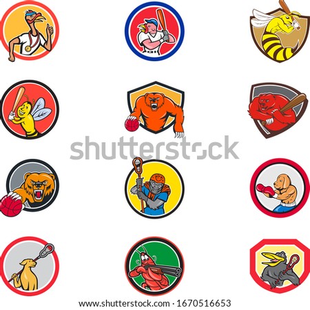 Set or collection of cartoon character mascot style illustration of animals like turkey, wasp, bee, bear, gorilla,dog, shrimp, crow engaged in sports or sporting on isolated white background.