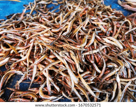 Dried fish preparing for sale in Thailand market.