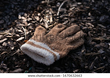 Brown winter glove on the soil