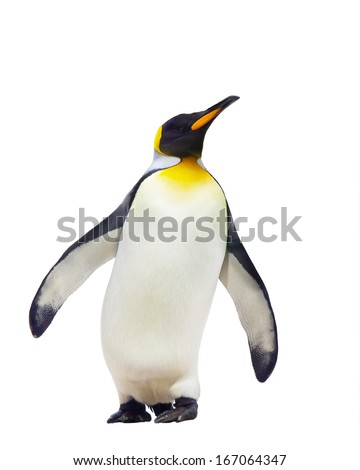 Emperor penguins. isolated on white background Royalty-Free Stock Photo #167064347