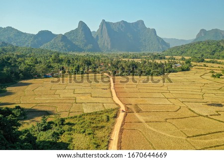 Dirt road around vang vieng in laos, surounded by rice fields with steep mountains in the background