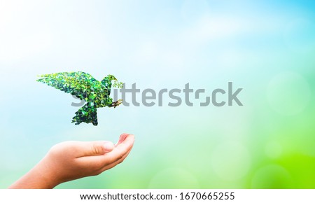 International day of peace concept:  hand holding bird flying on nature background