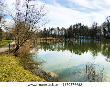 Nature reserve small Rumensee lake or Rumensee pond, Kussnacht am Zurichsee (Kuessnacht am Zuerichsee or Küssnach am Zürichsee) - Canton of Zürich (Canton of Zuerich), Switzerland