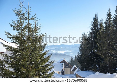 Winter landscape with beautiful fir trees in mountain village