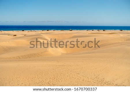 Dunes in Maspalomas, Grand Canary, Spain
