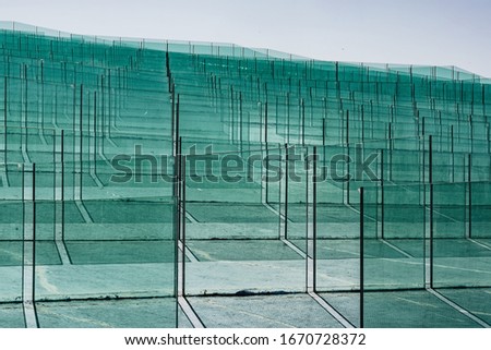 Sheets of green tempered clear glass
