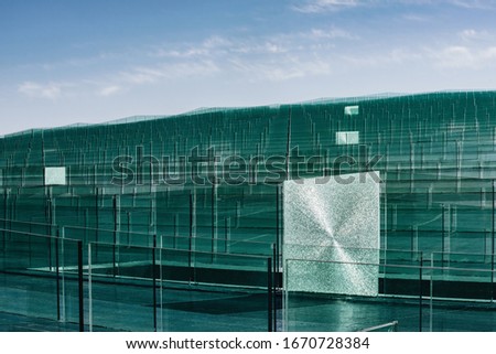 cracked glass among sheets of green tempered clear glass