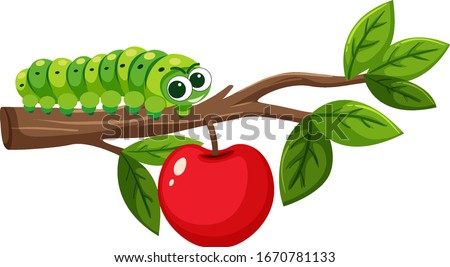 Green caterpillar on apple branch illustration