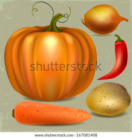 Set of fresh vegetables, illustration