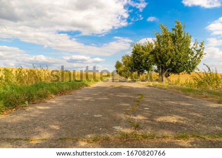 Dirt road with a traffic barrier and apple trees on the way away