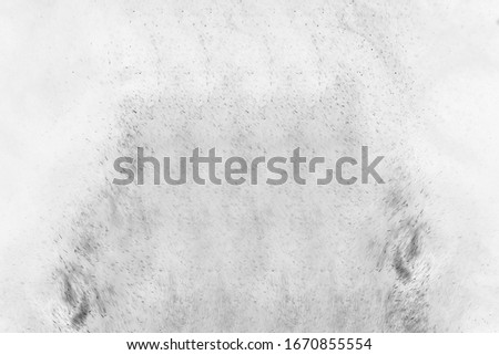 Freeze motion of black dust explosion isolated on white background 