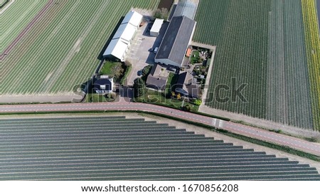 Aerial picture of tulip farm located in Lisse the Netherlands
