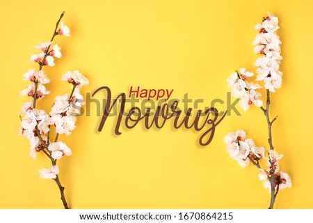 Sprigs of the apricot tree with flowers on yellow background. Text Happy Nowruz. The concept of spring came. Top view. Flat lay Hello march, april, may