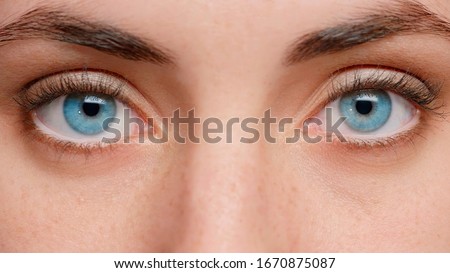 Close up photo. Blue eyes of the girl near. Clean skin and well-groomed. Beautiful eyebrows. In the eyes of reflection. Royalty-Free Stock Photo #1670875087
