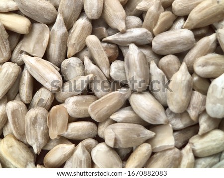 peeled sunflower seeds top view macro