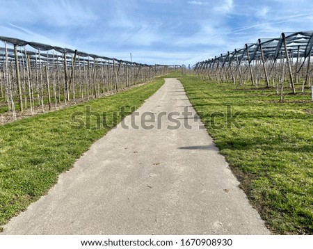 Hiking trail in hagnau in south germany in spring time