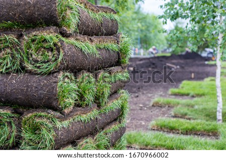 Stack of turf grass for lawn. Carpet of turf, roll of sod, turf grass roll. Installation of landscape and environment Royalty-Free Stock Photo #1670966002