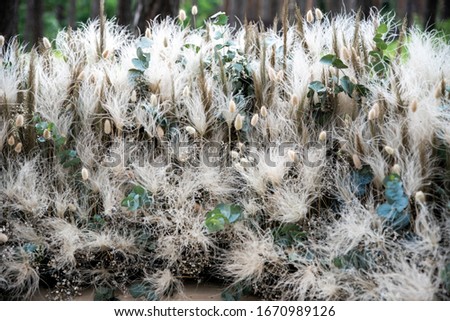 Outdoor summer wedding in rustic style, pine forest around. Wedding arch of fluffy spikelets, dried flowers and eustoma flowers, candles on the floor. Close up picture