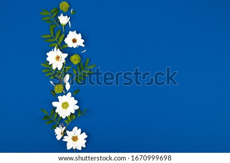 Card with white flowers and green leavs for birthday, mother's day or wedding. Blue paper background.