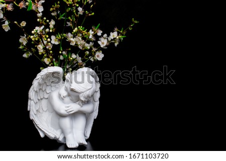 white flowers . spring plum blossom on black background and white angel