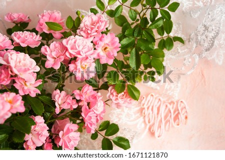 Soft Pink color Roses Arrangement Romantic Background