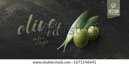 Vector realistic illustration. Green olives, leaves and paper icon on dark stone background. Royalty-Free Stock Photo #1671146641