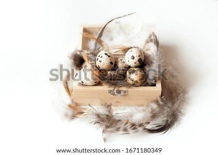 Easter composition with quail eggs and feathers on white background