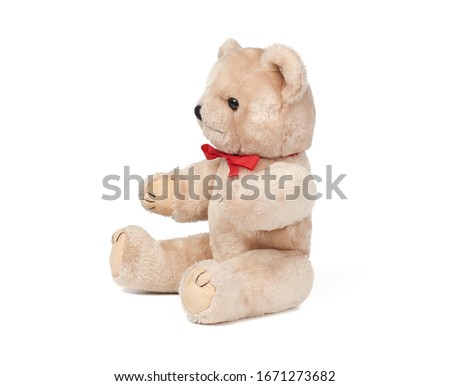 small brown teddy bear sits on a white isolated background, funny children`s toy