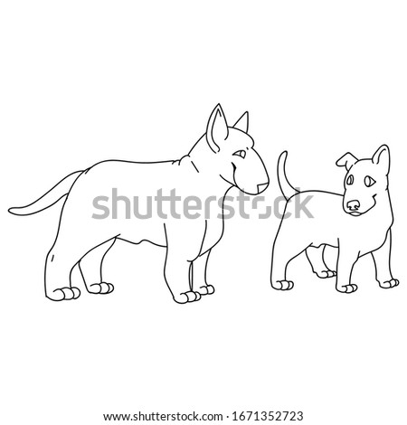 Cute cartoon bull terrier dog and puppy breed monochrome lineart vector clipart. Pedigree kennel show dog for dog lovers. Purebred domestic pooch for pet illustration. Isolated canine puppy snout.