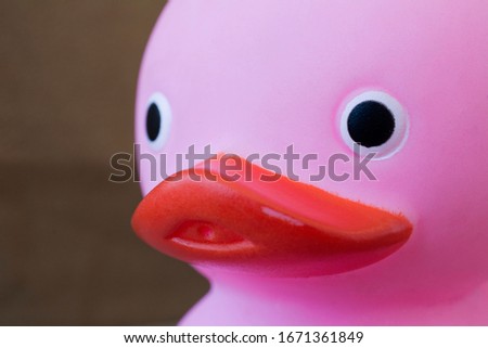 Pink duck. Baby toy for fun, close up.