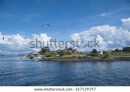 Oslo fjords on a sunny summer weather and seagulls flying 