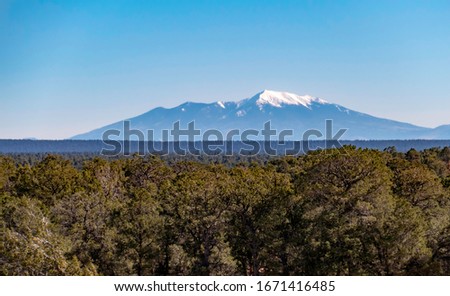 Mt Humphreys in the distance in Kaibab National forest on the rim of the grand canyon.  Royalty-Free Stock Photo #1671416485